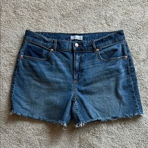 Loft Denim Shorts